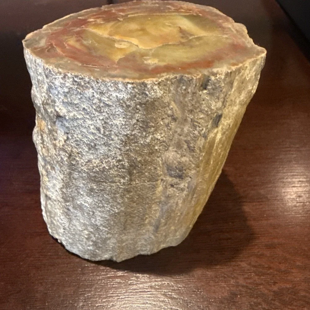 2.1 LB Agatized Petrified Wood Log Fossil Polished Ends Natural Bark Specimen